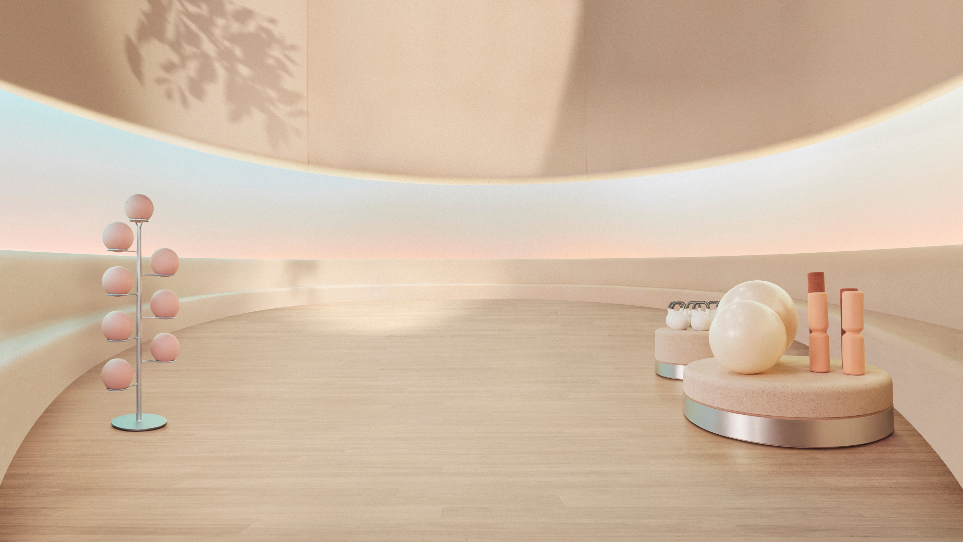 Fitbit — project image 4